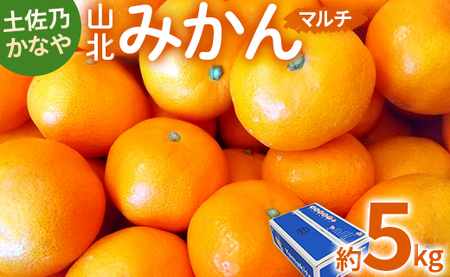土佐乃かなや マルチ 山北みかん5kg - 柑橘 ミカン 果物 フルーツ みかんみかんみかんみかんみかんみかんみかんみかんみかんみかんみかんみかんみかんみかんみかんみかんみかんみかんみかんみかんみかんみかんみかんみかんみかんみかんみかんみかんみかんみかんみかんみかんみかんみかんみかんみかんみかんみかんみかんみかんみかんみかんみかんみかんみかんみかんみかんみかんみかんみかんみかんみかんみかんみかんみかんみかんみかんみかんみかんみかんみかんみかんみかんみかんみかんみかんみかんみかんみかんみかんみかんみかんみかんみかんみかんみかんみかんみかんみかんみかんみかんみかんみかんみかんみかんみかんみかんみかんみかんみかんみかんみかんみかんみかんみかんみかんみかんみかんみかんみかんみかんみかんみかんみかんみかんみかんみかんみかんみかんみかんみかんみかんみかんみかんみかんみかんみかんみかんみかんみかんみかんみかんみかんみかんみかんみかんみかんみかんみかん be-0017