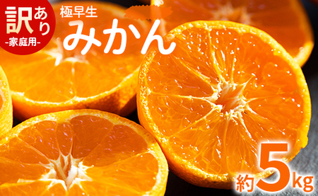 家庭用 訳あり 極早生みかん 約5kg - 家庭用 フルーツ みかん 柑橘 be-0024