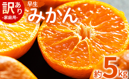 家庭用 訳あり 早生みかん 約5kg - 家庭用 フルーツ みかん 柑橘 みかんみかんみかんみかんみかんみかんみかんみかんみかんみかんみかんみかんみかんみかんみかんみかんみかんみかんみかんみかんみかんみかんみかんみかんみかんみかんみかんみかんみかんみかんみかんみかんみかんみかんみかんみかんみかんみかんみかんみかんみかんみかんみかんみかんみかんみかんみかんみかんみかんみかんみかんみかんみかんみかんみかんみかんみかんみかんみかんみかんみかんみかんみかんみかんみかんみかんみかんみかんみかんみかんみかんみかんみかんみかんみかんみかんみかんみかんみかんみかんみかんみかんみかんみかんみかんみかんみかんみかんみかんみかんみかんみかんみかんみかんみかんみかんみかんみかんみかんみかんみかんみかんみかんみかんみかんみかんみかんみかんみかんみかんみかんみかんみかんみかんみかんみかんみかんみかんみかんみかんみかんみかんみかんみかんみかんみかんみかんみかんみかん be-0025
