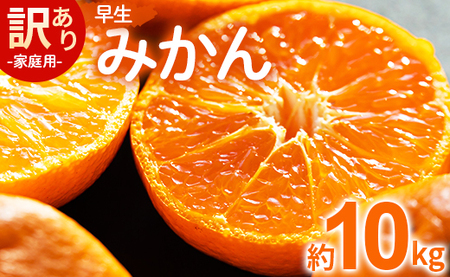 家庭用 訳あり 早生みかん 約10kg - 家庭用 フルーツ みかん 柑橘 be-0028
