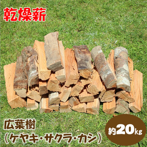馬路村の薪　乾燥薪20ｋｇ　広葉樹 キャンプ 焚き火 アウトドア【551】