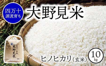【四万十源流】特別栽培大野見米ヒノヒカリ10ｋｇ（玄米）