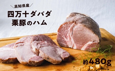 四万十ダバダ火振栗豚 ハム（約480g） 豚肉 ハム 冷凍