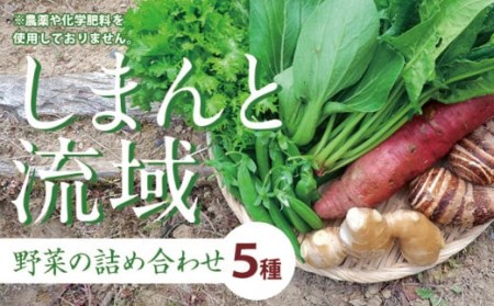 【農薬不使用】しまんと流域野菜つめあわせ（5種類）／Fkh-A07