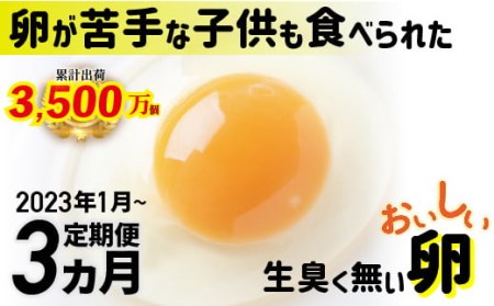 【2023年1月から】卵が苦手な子どもも食べられた！生臭くないおいしい卵 6個入×5P　3か月定期便　Sgbn-01