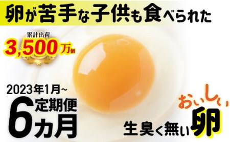 【2023年1月から】卵が苦手な子どもも食べられた！生臭くないおいしい卵 6個入×5P　6か月定期便　Sgbn-02