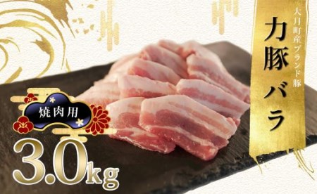 【高知県 大月町産ブランド豚】力豚バラ　焼き肉用 3kg