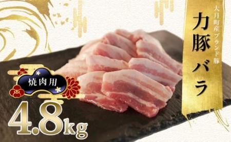 【高知県 大月町産ブランド豚】力豚バラ　焼き肉用 4.8kg