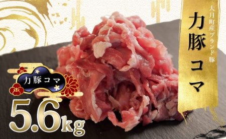 【高知県 大月町産ブランド豚】力豚　豚コマ5.6kg