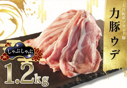 【高知県 大月町産ブランド豚】力豚　ウデ肉1.2kg