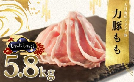 【高知県 大月町産ブランド豚】力豚もも　しゃぶしゃぶ5.8kg