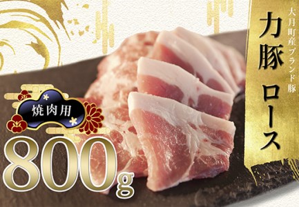 【高知県 大月町産ブランド豚】力豚ロース　焼き肉用800g