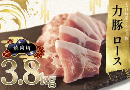 【高知県 大月町産ブランド豚】力豚ロース　焼き肉用3.8kg