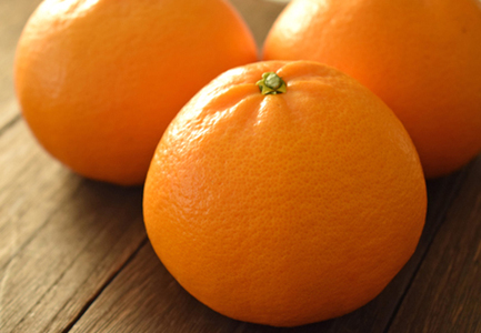 【高知県大月町産】柑橘の大トロ　「せとか 5kg」（ハウス栽培）