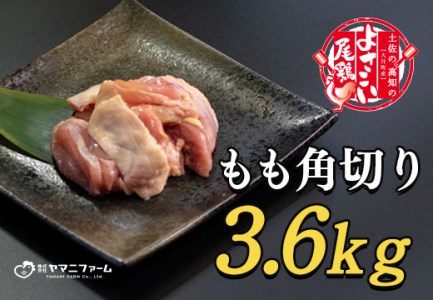 【大月町のブランド鶏】よさこい尾鶏 もも肉角切り(300g)×12パック