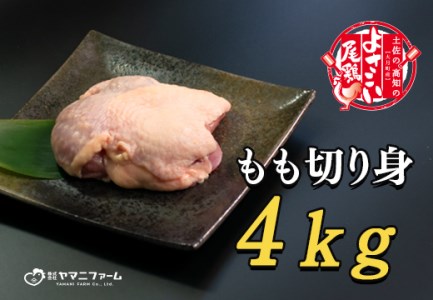 【大月町のブランド鶏】よさこい尾鶏 もも肉(200g)×20パック