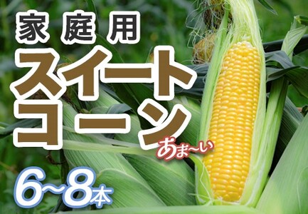 【高知県 大月町産】Kameo farmの家庭用スイートコーン6～8本