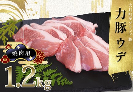【高知県 大月町産ブランド豚】力豚ウデ焼き肉用1.2kg