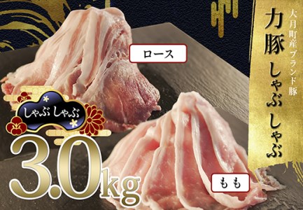 【高知県 大月町産ブランド豚】力豚しゃぶしゃぶ3kgセット
