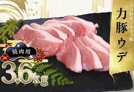 【高知県 大月町産ブランド豚】力豚ウデ肉　焼肉用3.6kg
