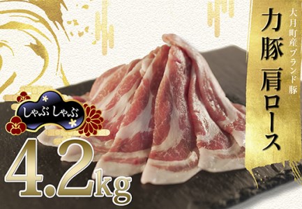 【高知県 大月町産ブランド豚】力豚肩ロース　しゃぶしゃぶ4.2kg