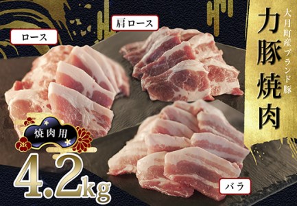 【高知県 大月町産ブランド豚】力豚焼き肉4.2kgセット