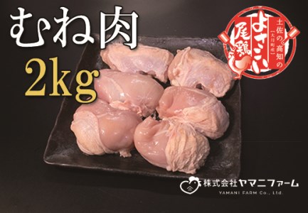 【大月町のブランド鶏】よさこい尾鶏 むね肉2kg
