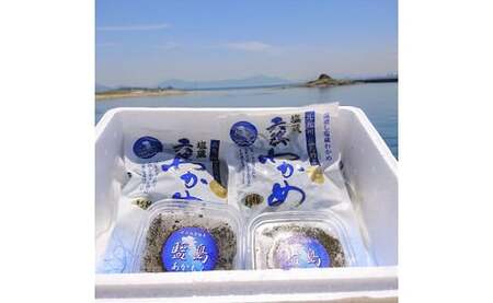北九州 藍島産 海藻 セット 天然わかめ あかもく 計720g 肉厚