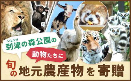到津の森公園の動物たちに地元農産物を寄贈