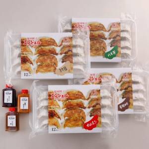 福岡エンジェル餃子の4種食べ比べセット【配送不可地域：離島】【1498468】