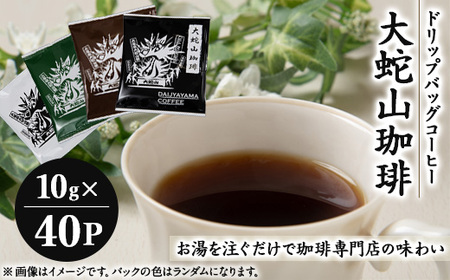 大蛇山珈琲 ドリップバッグコーヒー 10g×40P【1090789】