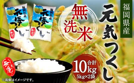 【令和5年産】福岡県産元気つくし 無洗米 10kg お米 ご飯 米