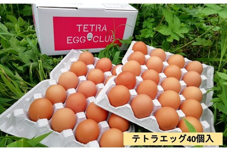 テトラエッグ40個入【A5-459】たまご 卵 玉子 タマゴ