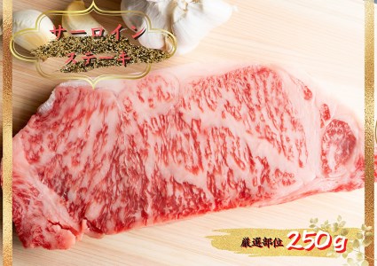 博多和牛サーロインステーキ 250g（250g×1枚）