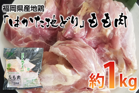 福岡県産地鶏「はかた地どり」もも肉(約1kg)