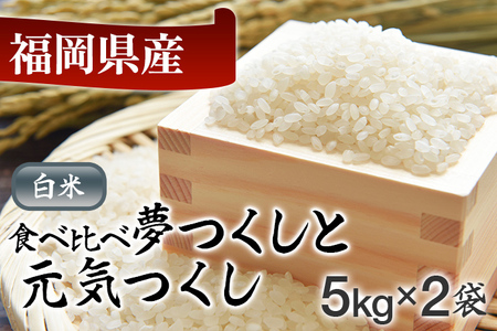 令和5年産　福岡県産米食べ比べ（白米）「夢つくし」と「元気つくし」セット　計10kg