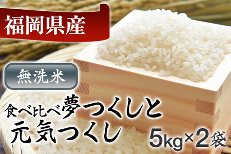 令和5年産　福岡県産米食べ比べ（無洗米）「夢つくし」と「元気つくし」セット　計10kg