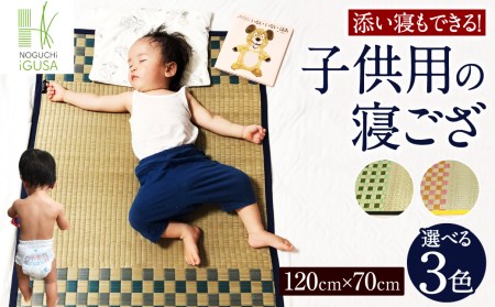 添い寝もできる! 子供 用の 寝ござ (グリーン/ピンク/ブルー) い草 寝具 選べる3色