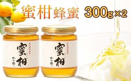 ＜国産＞かの蜂 みかん蜂蜜【300g×2個】福岡県八女市で収獲した完熟みかん蜂蜜　024-004