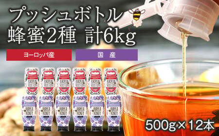 かの蜂 プッシュボトル 蜂蜜 2種 6kg（500g×12本） はちみつ　024-066