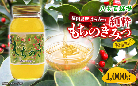 八女養蜂場 福岡県産純粋蜂蜜 もちのきみつ １，０００ｇ　072-108