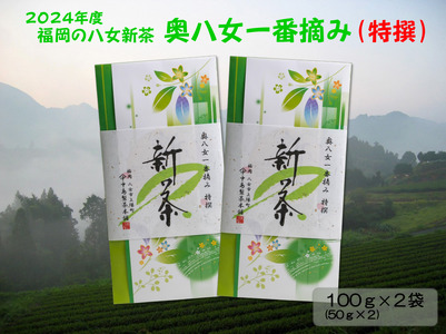 【新茶】ギフト用 八女新茶　一番摘み 特撰（100g×2袋）【2024年5月発送開始】 013-008-GFT