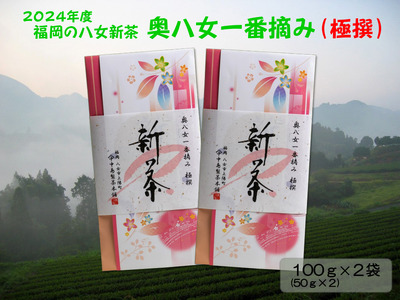 【新茶】ギフト用 八女新茶　一番摘み 極撰（100g×2袋）【2024年5月発送開始】 013-009-GFT