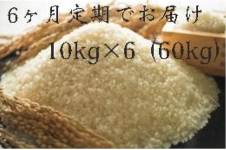 【頒布会】福岡県大川市産ヒノヒカリ（2022年秋収穫のお米）10キロ×6回 定期コース（全6回のお届け）