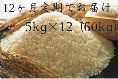 【頒布会】福岡県大川市産ヒノヒカリ（2022年秋収穫のお米）5キロ×12回 定期コース（全12回のお届け）