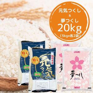 【令和5年産】福岡県産米食べ比べ＜白米＞セット「夢つくし」と「元気つくし」2種類 計20kg入り