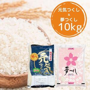 【令和5年産】福岡県産米食べ比べ＜白米＞セット「夢つくし」と「元気つくし」2種類 計10kg