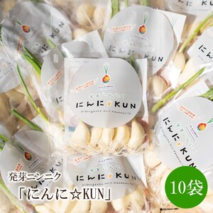 発芽ニンニク「にんに☆KUN」10袋【042-0002】