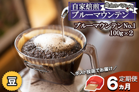 【6カ月定期便】自家焙煎 “コーヒーの王様” ブルーマウンテン（ストレート・豆）【ポスト投函】
