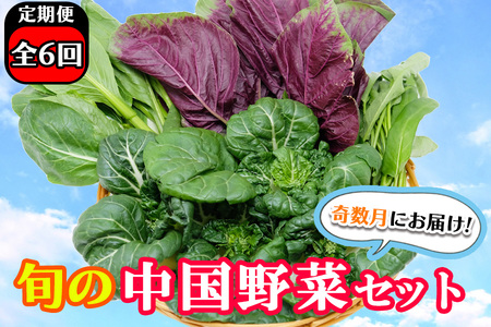 【全6回定期便】レシピ付き!川辺農園の季節の中国野菜セット（奇数月にお届け）国産 中華野菜